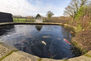 Photo 25- click for photo gallery